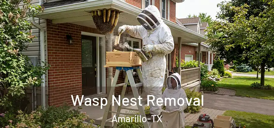 Wasp Nest Removal Amarillo-TX