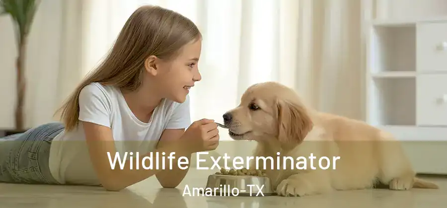 Wildlife Exterminator Amarillo-TX