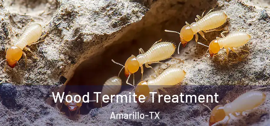 Wood Termite Treatment Amarillo-TX