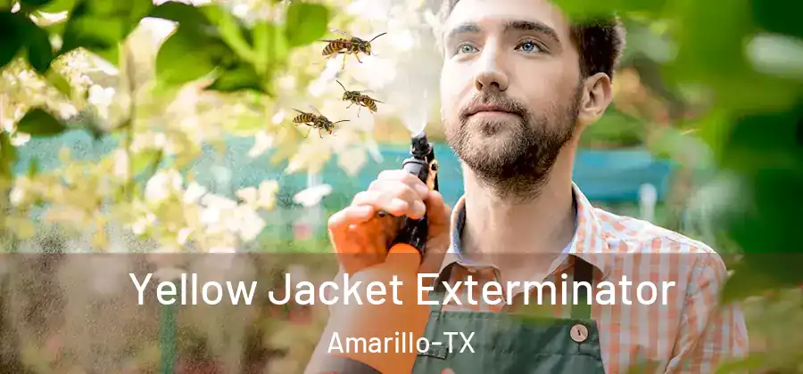  Yellow Jacket Exterminator Amarillo-TX